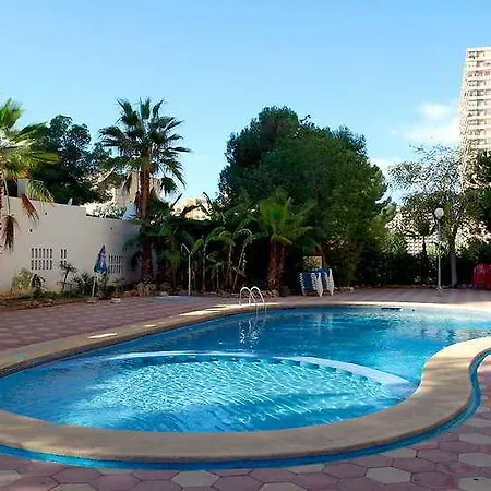 Halley & Affiliated By Melia Benidorm