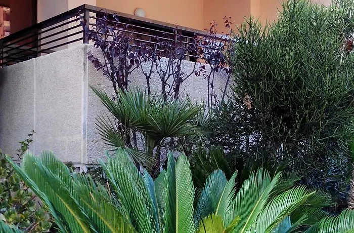 Halley & Affiliated By Melia